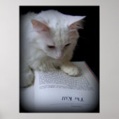 Das Leid Poster (Vorne)