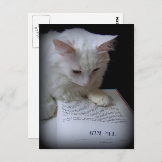 Das Leid Postkarte (Vorne/Hinten)