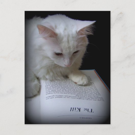 Das Leid Postkarte (Vorderseite)