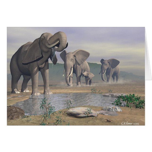 Das letzte Bewässerungs-Loch (Vorderseite (Horizontal))