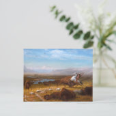 Das Letzte des Büffels Postkarte (Stehend Vorderseite)