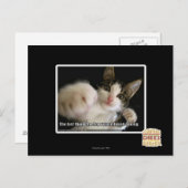 Das Letzte Postkarte (Vorne/Hinten)