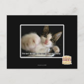 Das Letzte Postkarte (Vorderseite)