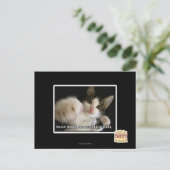 Das Letzte Postkarte (Stehend Vorderseite)