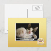 Das Letzte Postkarte (Vorne/Hinten)