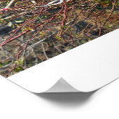 Das letzte Rad Poster (Ecke)