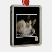 Das Letzte Silbernes Ornament (Rechts)