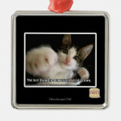 Das Letzte Silbernes Ornament (Vorne)