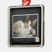 Das Letzte Silbernes Ornament (Links)