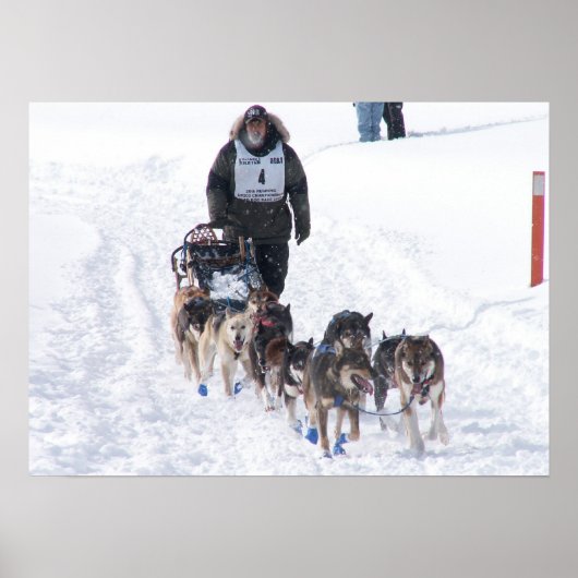 Das letzte Stretch-Poster Poster (Vorne)