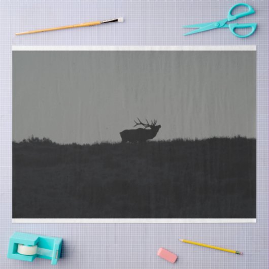 Das letzte Übel Seidenpapier (Basteln)