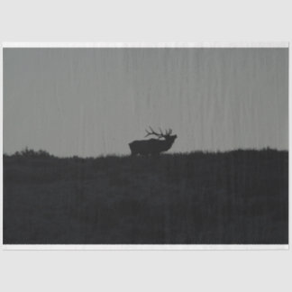 Das letzte Übel Seidenpapier