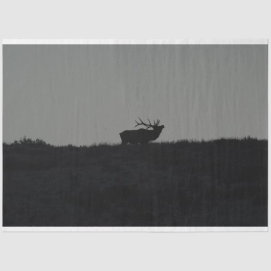 Das letzte Übel Seidenpapier (Vorderseite)