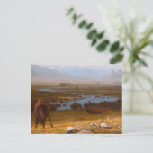 Das Letzte vom Buffalo Postkarte (Stehend Vorderseite)