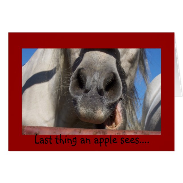Das Letzte, was ein Apfel sieht... Karte (Vorderseite (Horizontal))