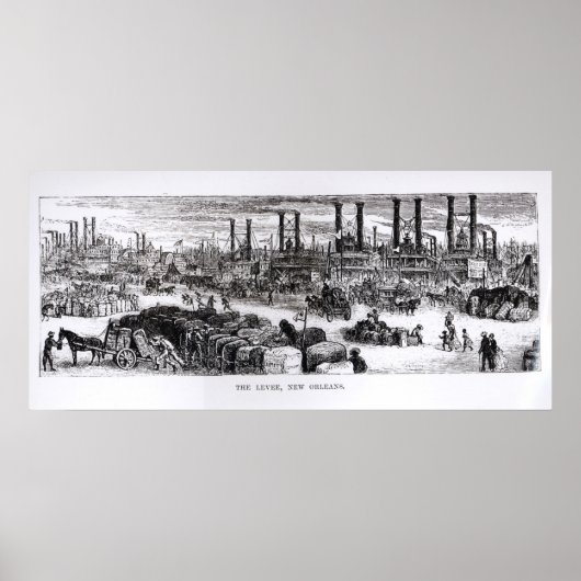 Das Levee, New Orleans Poster (Vorne)