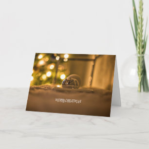 Das Licht an Weihnachten