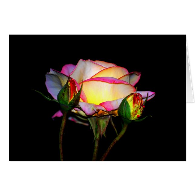 Das Licht innen (Vorderseite (Horizontal))