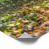 Das Licht von oben im Wald Poster (Ecke)