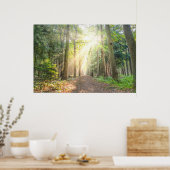 Das Licht von oben im Wald Poster (Küche)