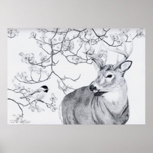 Das Lied des Chickadees Poster