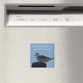 Das Lied eines Vogel, Musik des Magneten des Ozean Magnet (In Situ (Geschirrspüler))