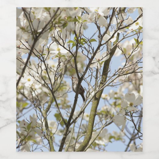 Das Lied im Dogwood Weinetikett (Einzelnes Label)