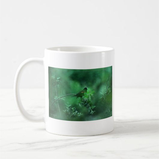 Das Lied Kaffeetasse (Links)