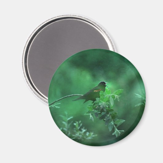 Das Lied Magnet (Vorderseite/Rückseite)