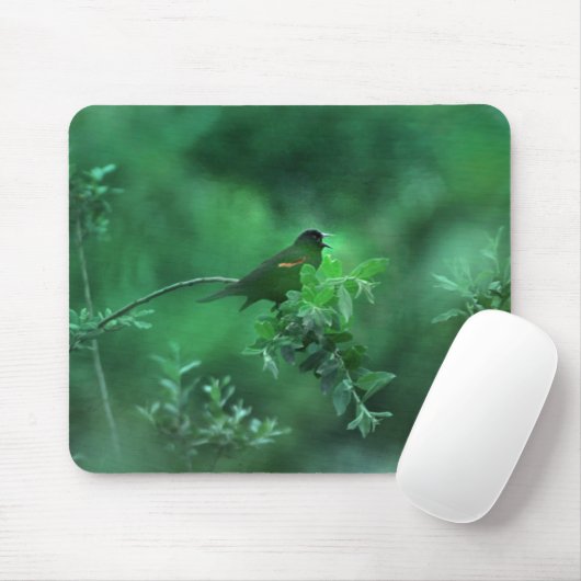 Das Lied Mousepad (Mit Mouse)
