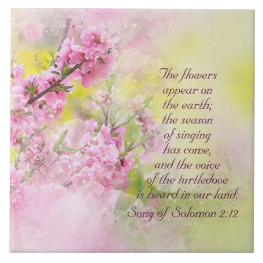 Das Lied von Solomon 2:12 Blume erscheint auf der  Fliese (Vorderseite)