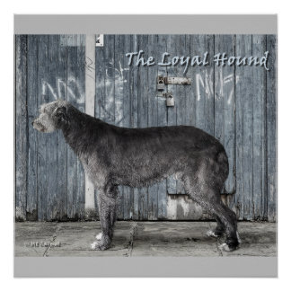 Das Loyal Hound Poster