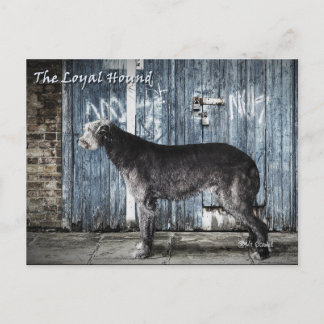 Das Loyal Hound Postkarte