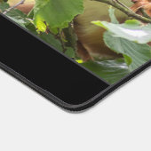 Das lustige, lustige Eichhörnchen lasse das Zitat Schreibtischunterlage (Ecke)