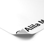 Das lymphatische System mit der Bezeichnung Poster (Ecke)