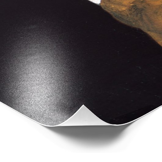 Das Mädchen mit Perlenohrring Fotodruck (Ecke)