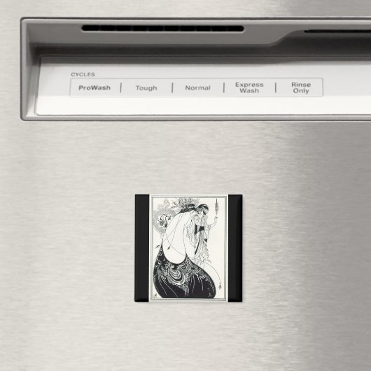 Das Magnet des Pfauenspucks (In Situ (Geschirrspüler))