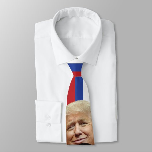 Das Manafort Krawatte (Gebunden)