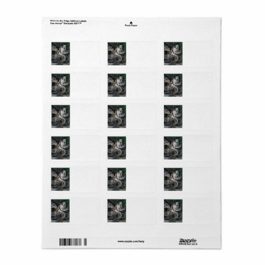 Das Manatee trifft eine Meerjungfrau Adressaufkleber (Vorne)