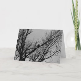 Das Männchen sieht zu. Karte