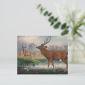 Das Mantchurische Hirsch von Joseph Wolf Postkarte (Stehend Vorderseite)
