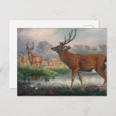 Das Mantchurische Hirsch von Joseph Wolf Postkarte (Vorne/Hinten)