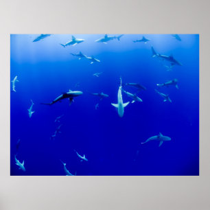 DAS MEER POSTER