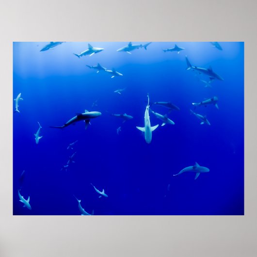 DAS MEER POSTER (Vorne)