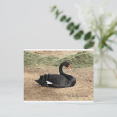 Das Meer träumen Postkarte (Stehend Vorderseite)