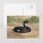 Das Meer träumen Postkarte (Vorne/Hinten)