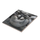 Das Meerjungfrau-Siegel - Fliese (Seite)