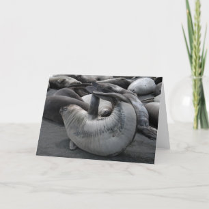 Das Meerjungfrau-Siegel Karte