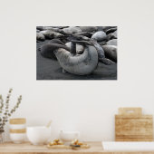 Das Meerjungfrau-Siegel (Poster) Poster (Küche)