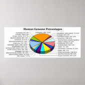 Das menschliche Genom mit Anzahl und Prozent eines Poster (Vorne)